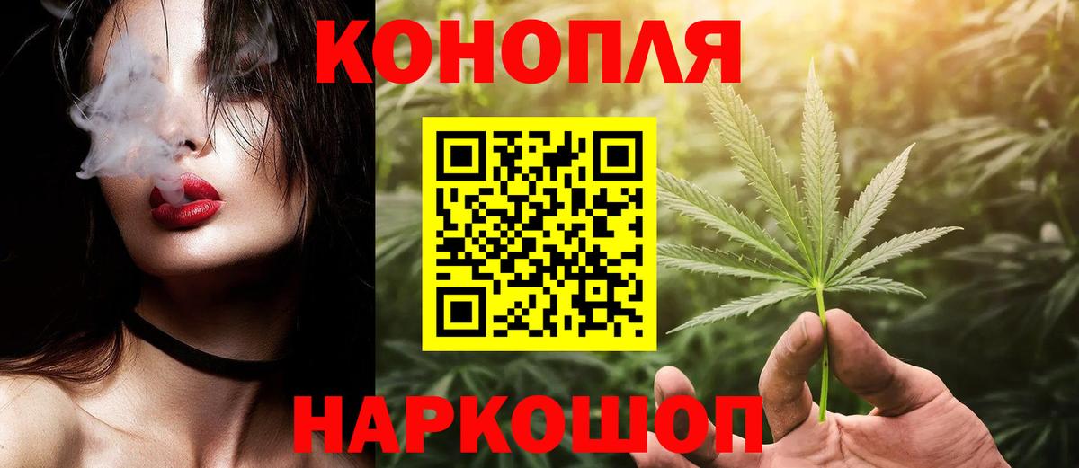 Конопля планчик Трёхгорный